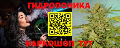 мяу мяу мука Будённовск