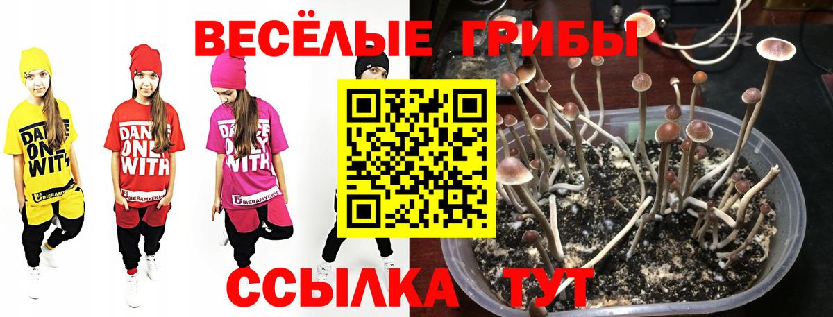 Псилоцибиновые грибы ЛСД  Вход с VPN  Северск 